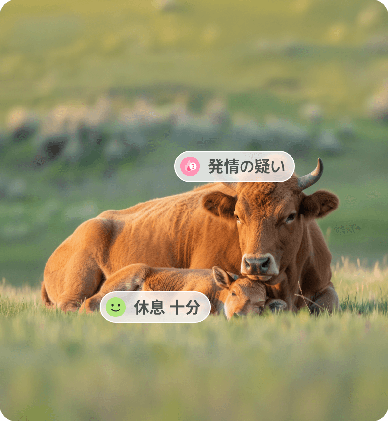 牛の個体ごとに健康・繁殖状態を管理する画像