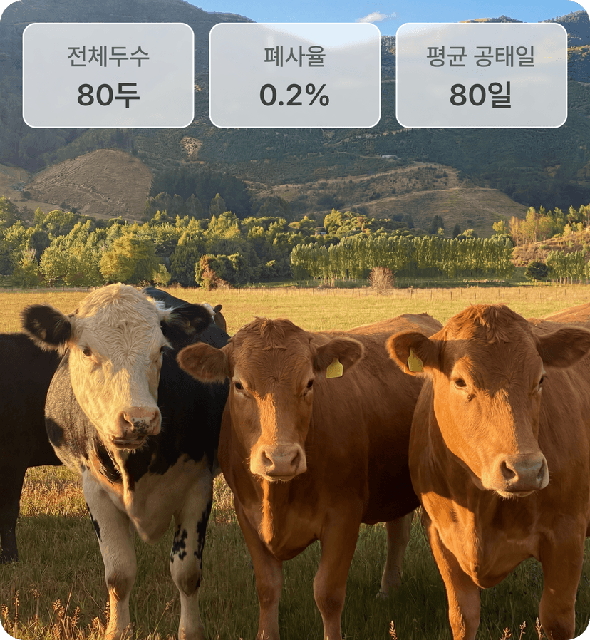 데이터 기반으로 농장을 운영하는 이미지