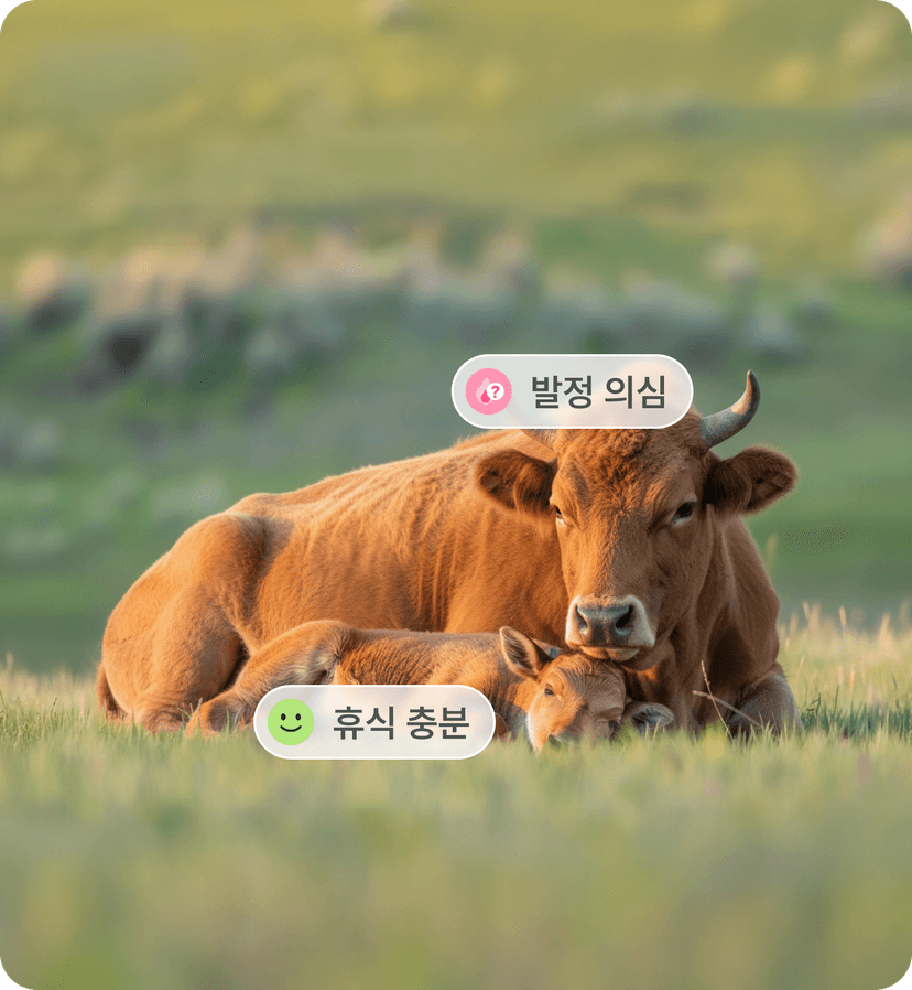 소 개체별 건강 및 번식 상태를 관리하는 이미지