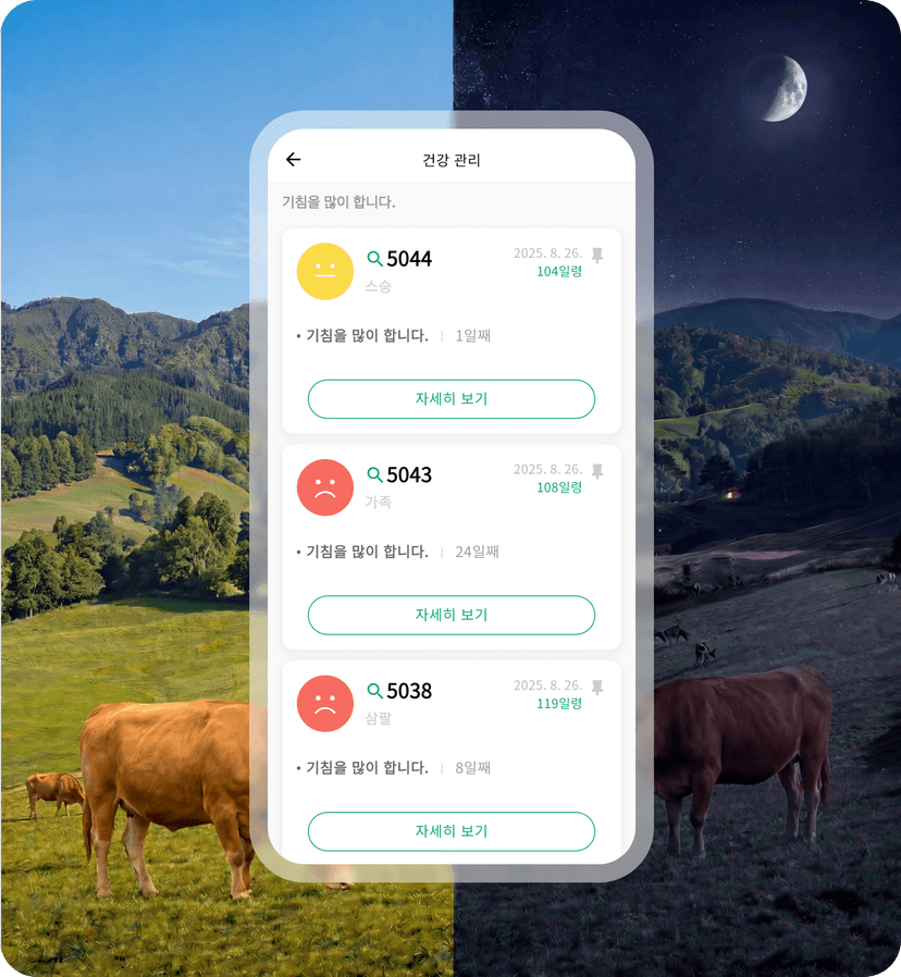 앱으로 소 상태를 모니터링하는 이미지