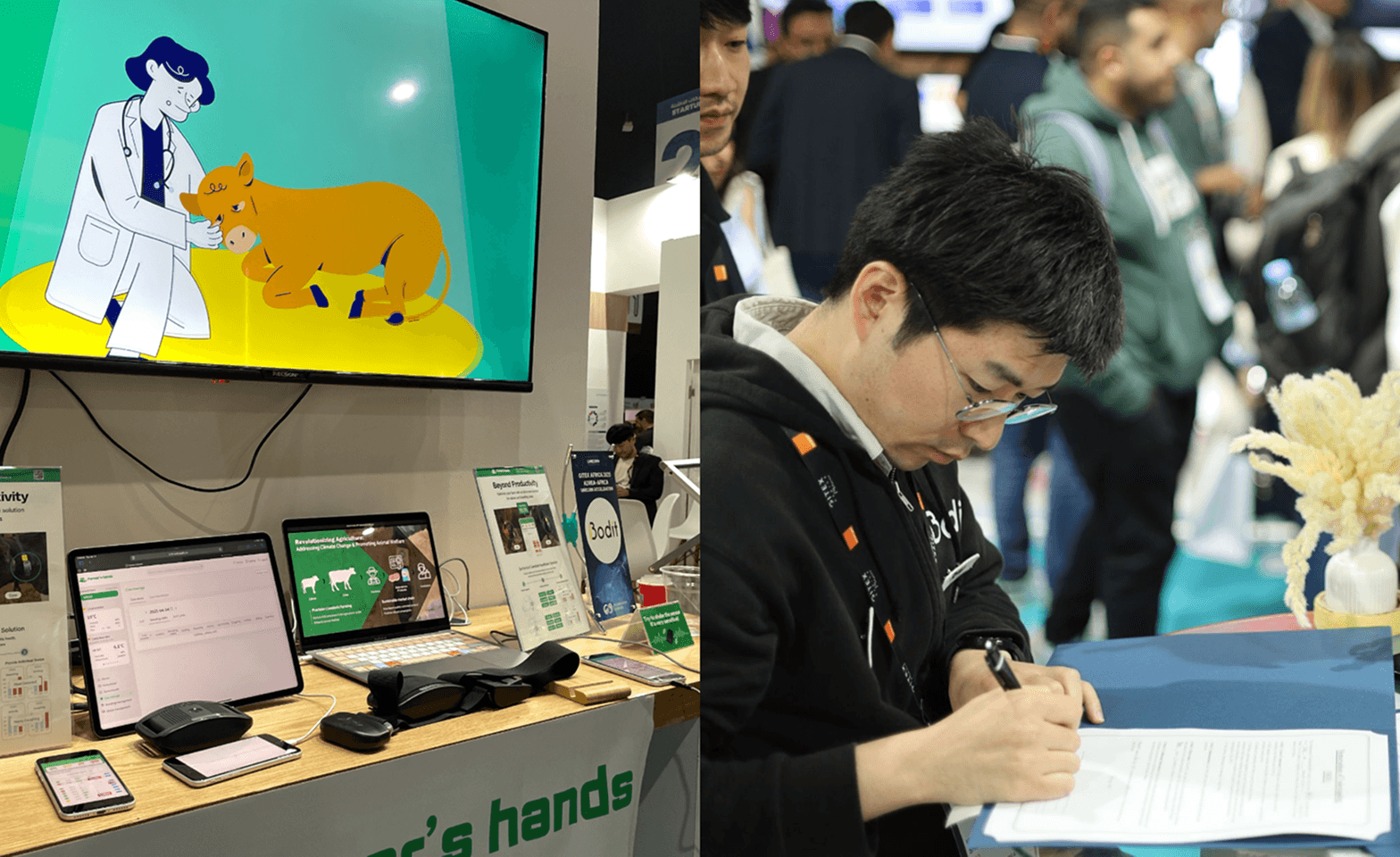 Bodit: Korean AI Tech Helping African Farmers Save Cows