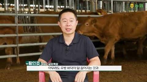 하루 종일 일만 하세요? 정확한 데이터로 1등급 한우 쏟아내는 AI 스마트팜의 비밀