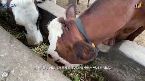 [2025 시민사회협력프로그램 우수사례 공모전 우수상] ④ 유니월드 “케냐 루무루티 지역 주민들이 전하는 삶의 변화와 낙농의 가치”